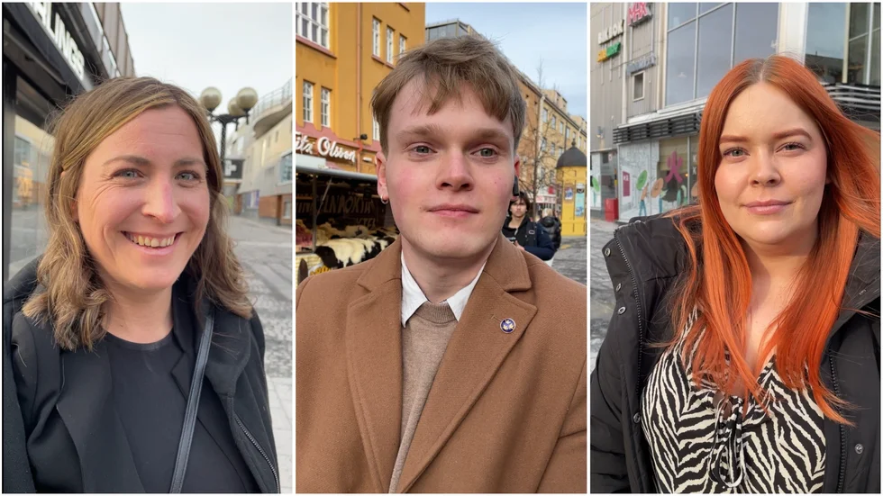 Lovisa Eriksson, Hugo Leo och Åsa Lindgren har inte deltagit i matbojkotten.