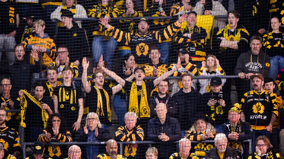 Supportrar ska vara enögda, jävliga och högljudda enligt Norrans krönikör.