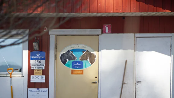 Generationsväxling på mjölkgården i Svensbyn
