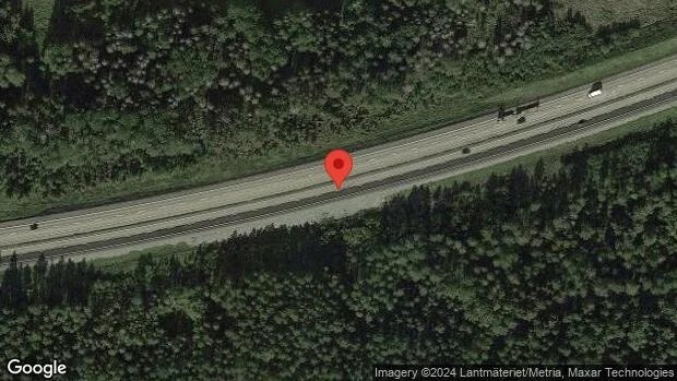 Rådjur på fel sida viltstängslet på E18