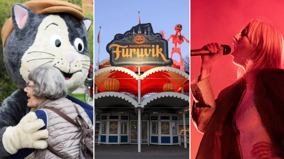Furuviksparken är hem för konserter, djur, badland, tivoli och hotell. 