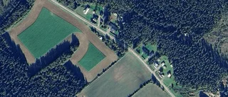 Tomt i Älvsbyns kommun har fått ny ägare – priset: 25 000 kronor
