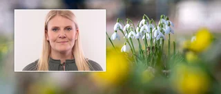 Meteorologisk vår på Gotland – en av fem platser i landet