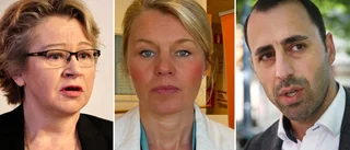 LIVE: Holtstad (L): "Det handlar inte bara om oss tre personer"