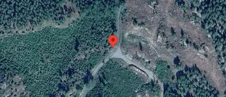 Träd över vägen påverkar trafiken på väg 765