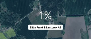 Här är siffrorna som visar hur det gick för Säby Frukt & Lantbruk AB senaste året