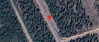 Träd över vägen skapar problem i trafiken på E45