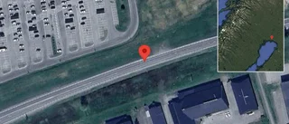 Trafikverket varnar för får på vägen på E4