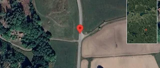 Trafikverket varnar för kor på vägen på väg 134