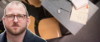 Alla vi som jobbar i skolan har sett de där killarna 
