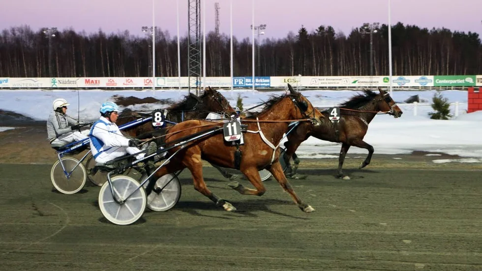 Det blev en jetspurt och seger i V5-4 för hästen Jetline (Nils Westerberg) i V5-4 på Bodentravet. Ekipaget hade långt fram halvvarvet från mål men hann dit i sista steget. Gloria Leejs (Anna Karlsson) spårade länge på innerspåret.