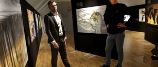 Naturens vinnare och förlorare