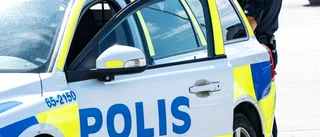 Misstänkta tjuvar upptäcktes på butikstak