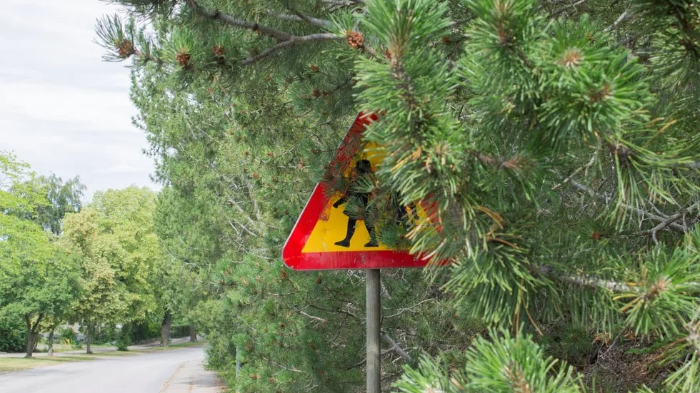 Utanför Järvenskolan Tallås är det svårt att se skylten som varnar för barn.