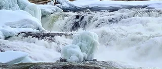 Läsarbilden: Islossning i Storforsen