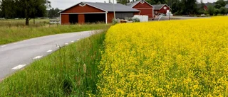 LRF vill förenkla uthyrning till nyanlända