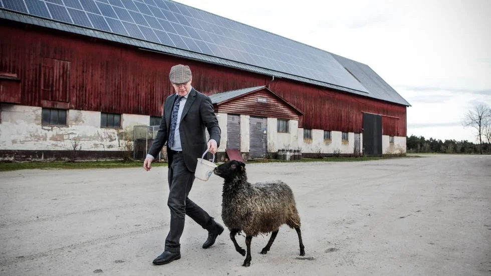 TAMLAMM. Kjell Nilsson på språng med en av gårdens över 400 tackor.