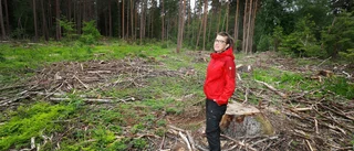Hundratals granar avverkade i Kronskogen – många reaktioner: "Tagit ner träden av säkerhetsskäl" 