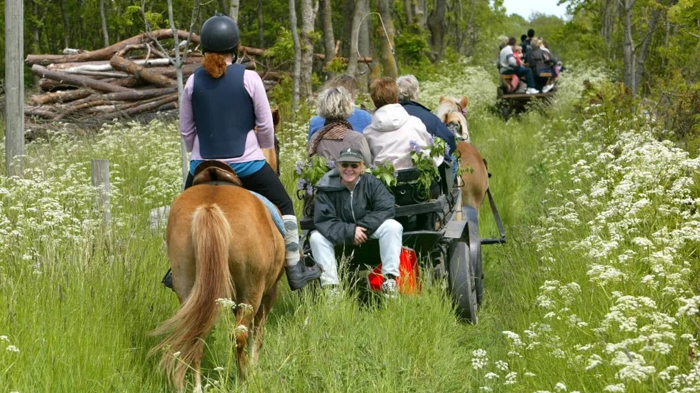 Slutet på en era. Den 1 juni avvecklas Rid- och körled Gotland – även kallad HovLeden.