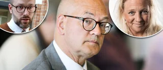"Det vore ett fantastiskt spännande uppdrag"