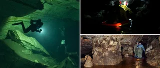 Finns det oupptäckta salar i Lummelundagrottan? • Nu vill grottforskarna dyka djupare i underjordiska vatten