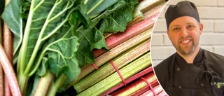 Kocken efterlyste rabarber – fick 75 kilo: "Det är helt fantastiskt"