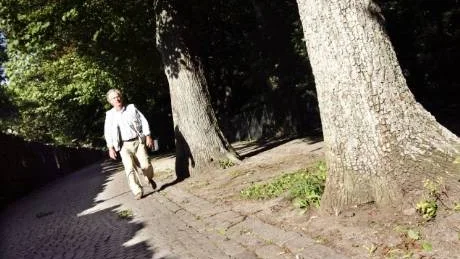 gågata. Att släppa fram bilar i Studentallén skulle självfallet innebära en kraftig störning för besökarna i botaniska trädgården, säger Lennart Lindgren, ordförande i DBW:s trädgårdsstyrelse.