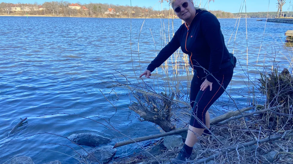 Helena Hjelm och den döda uttern alldeles intill brofästet.