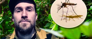 Klas fick denguefeber – behövde sjukhusvård två gånger: "Kändes som om benen skulle gå av"
