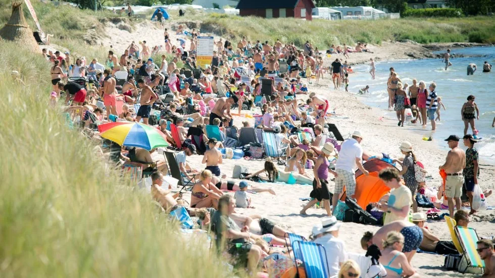 Soldyrkare på Tofta strand.