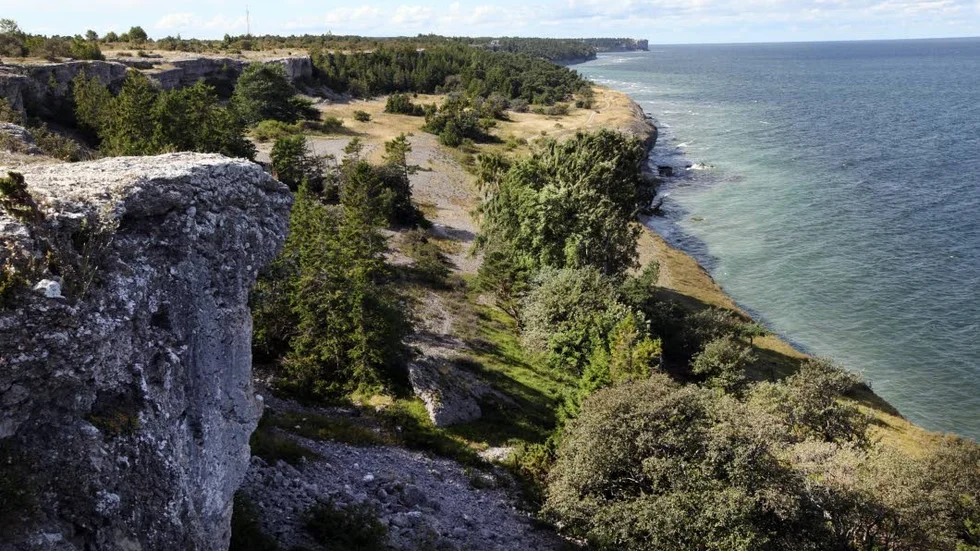 En privatperson hittade en granat från andra världskriget i närheten av Toftavägen under en morgonpromenad.