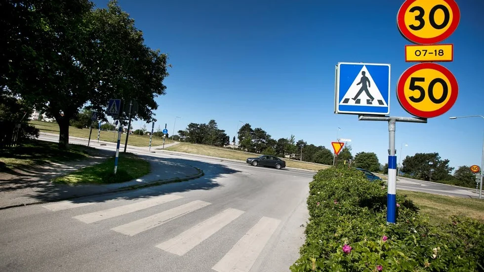 På Vallgravsgatan i Visby ligger stans kanske mest knasiga övergångsställe, som leder rätt in i en häck.