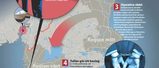 Brottslig urtyp finns redan i stan