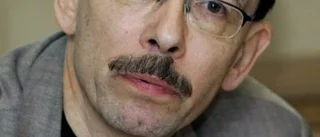 Professorer pläderar