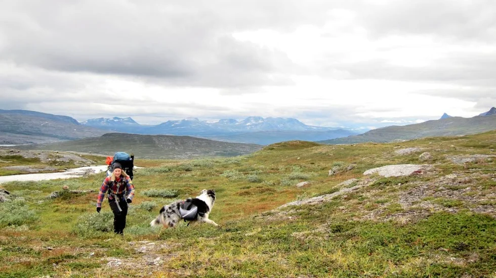 Regeringen satsar 20 miljoner kronor på vandringsleder i fjällen.