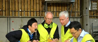 Japaner vill jordbävningssäkra husen