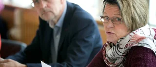 Piteå saknar handlingsplan för särbegåvade