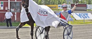 Vikingen ror hem V5-3