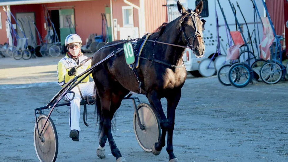 Henrik Näsvall och Lisas Karamell