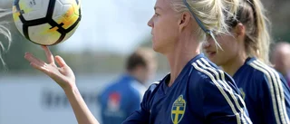 Experten: För få alternativ