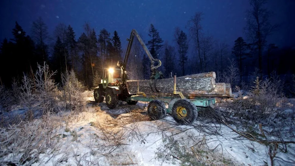 124 var varslade om uppsägning, men i slutänden blev det "bara" 40 som måste sluta för att SKogsstyrelsen ska klara sin nya hårt bantade budget. I Norrbotten berörs en anställd. Projektet Naturnära jobb har dock fått  avslutas i förtid. (Arkivbild)