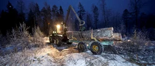 Så många får gå från Skogsstyrelsen