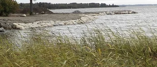 Länsstyrelsen utreder misstänkt miljöbrott