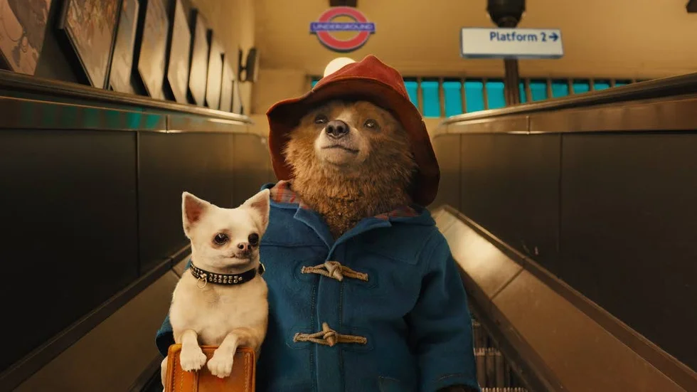 Mys. Engelskt mys och frågor om flyktingskap möts i den nya filmversionen av "Paddington".
Foto: SF