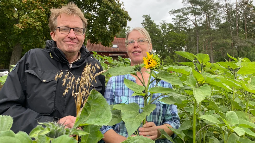 Mats Larsson och Anna Brodén driver Ösvreta Gård utanför Nyköping. 