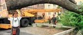 Lönnens öde avgjordes igår