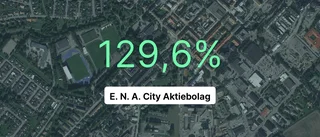 Få i branschen var bättre än E. N. A. City i fjol