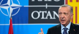 Sverige får inte utvisa Znar Bozkurt till Turkiet