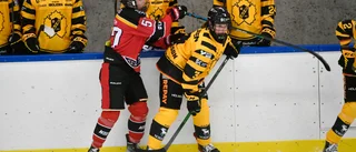 AIK-spelaren hyllas efter poängsuccén: ”En klippa – håller ihop laget”
