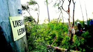 Det är ett år sedan stormen Gudrun härjade i Östergötland och Småland, bl a här utanför Åtvidaberg. Widar Andersson tycker att den svenska regeringen agerat föredömligt i sin hantering av problemen. Foto: Stefan Jerrevång/Scanpix